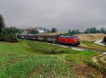 Die 218 430 mit dem BR Radlzug am 04.08.2019 unterwegs bei Fürstenzell.