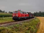 Die 218 430 mit dem BR Radlzug am 04.08.2019 unterwegs bei Sulzbach am Inn.