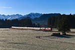 Am Dreikönigstag herrschten erneut gute Wetterbedingungen und so zog es mich wieder ins Allgäu. Bei Unterthalhofen im Illertal konnte ich den von 218 429 und 824 gezogenen IC 2012 nach Dortmund HBF fotografieren. Im Hintergrund sieht man die schneebedeckten Allgäuer Hochalpen und die Pfarrkirche St. Verena in Fischen. Die Loks bespannten den Zug nach Immenstadt, fuhren dann Lz nach Lindau, um dort den IC 118 nach Stuttgart HBF zu übernehmen (06. Januar 2020). 