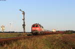 218 366-3 und 218 490-1 sowie 628 540-6 (Zugschluss) mit dem AS 1409 (Westerland(Sylt)-Niebüll/Bredstedt) bei Lehnshallig 1.9.20