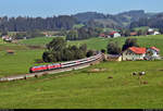 Zwei 218 sind als EuroCity unterwegs bei Harbatshofen (Stiefenhofen).