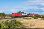 DB 218 390 & RPRS 218 488 / Sylt Shuttle / Morsum, 23. August 2021