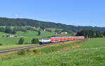 218 446 mit RE 57392 (München Hbf - Lindau Hbf) am 18.07.2020 bei Ellenberg