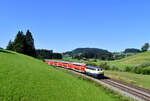 218 446 mit RE 57392 (München Hbf - Lindau) am 19.07.2020 bei Oberstaufen-Zell