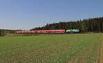 RE 4854 als RE2 von München über Regensburg nach Hof. Ab Regensburg übernahm die 218 443  Dona  Werbelok den Zug und konnte am 30.04.2024 bei Neudes eingefangen werden.