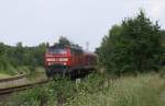 218 461-2 mit einer RB nach Lbeck Hbf, am 14.08.2007 bei Lbeck-Kcknitz