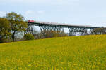 Die Hochbr�cke von Hochdonn mit dem Intercity K�ln-Westerland �ber einem bl�henden Rapsfeld am 27.04.2026