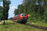 Seit Anfang Juni ist wieder eine Dosto-Garnitur samt 218 auf der pf�lzischen Maximiliansbahn unterwegs.