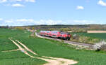 218 429 mit RE 56855 L�beck Hbf - Bad Kleinen am 26.April 2026 bei Naschendorf