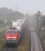218 364 mit einem Autozug am 12.8.2009 im Bahnhof Klanxbll
