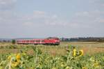 Durch die Sonnenblumen hindurch konnte ich am 10.9.2009 zwischen Dettingen und Owen die Ulmer 218 166-7 aufnehmen, welche eine RB von Oberlenningen nach Wendlingen nachschiebt.