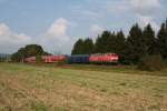 218 438 mit dem Radlerzug nach Friedrichshafen.
an erster stelle luft der ex-CNL-Packwagen, am zugschluss eine weitere 218.
Aufgenommen am 20.9.2009 bei Ummendorf