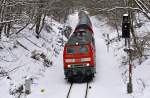 LINT-Ersatzverkehr: 218 453-9 am 14.02.2010 mit 3 Doppelstockwagen als RE nach Kiel Hbf bei Bad Malente-Gremsmhlen.