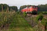 218 436-4 mit einem IRE bei Brugg, 29.04.11