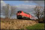 218 410-9 mit einem IRE von Lindau nach Ulm bei Langenargen, 14.01.12