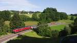 Durch Bume verdeckt ist das Viadukt im Tal der Oberen Argen zwischen Unterthalhofen und Harbatshofen. EC 192, Mnchen - Zrich, berfhrt das Viadukt und passiert in Krze Harbatshofen (20.06.2012). Auf Grund von Bauarbeiten zwischen Memmingen und Mindelheim konnten die ber Kempten umgeleiteten EuroCity zwischen Mnchen und Lindau vom 10. Juni bis 08. Juli auf der Allgubahn fotografiert werden.