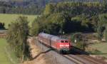 218 455-4 mit dem RE 14071 (Hannover Hbf-Bad Harzburg) bei Bageige 3.10.13