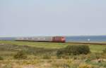 218 381 auf dem Hindenburgdamm bei Morsum am 19.08.12.