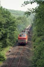Am 05.07.1995 beförderte die CityBahn-218 135 (anstelle der planmäßigen 290) den Üg 69247 von Krummenerl nach Brügge(Westf), hier zwischen Krummenerl und Valbert