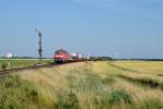 218 379 + 218 311 mit AS 1413 Westerland - Niebüll, am Esig von Lehnshallig, 10.07.2014.