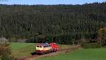 218 105-5 mit dem RbZ 26998 (Villingen(Schwarzw)-Seebrugg) bei Unadingen 9.10.14