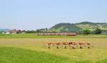 218 458 mit RE 57502 München Hbf - Füssen am 17.07.2014 bei Seeg