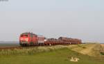 218 359-8 und 218 319-2 mit dem AS 1405 (Westerland(Sylt)-Niebüll) bei Klanxbüll 7.6.15