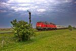 Die beiden Diesellokomotiven 218 321-8 und die 218 386-1 sind mit dem IC   Nordfriesland  aus Westerland nach Stuttgart Hbf hier bei der Vorüberfahrt bei Keitum zu sehen.Bild vom 19.5.2016