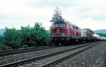218 225  bei Neunkirchen am Sand  10.08.85