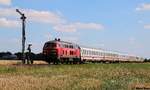 218 359 mit einem Intercity am südlichen Einfahrtsignal von Klaxbüll, aufgenommen am 20.07.16.