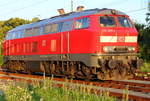 218 466-1 DB in Hochstadt/ Marktzeuln am 26.06.2012.