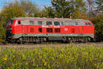 218 431 Lz am 12.10.2026 bei Eglharting. Eine Stunde zuvor brachte sie eine Gleisbau Maschine nach Rosenheim und kehrt nun Richtung M�nchen zur�ck.