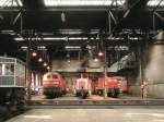 Bw Hagen Eck. 2002. Ein Teil der Diesellok-Halle mit Schiebebhne1.
Im Vordergrund, von links, 218002, 364765, 294395