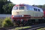 218 105 5 war am 3. Juli 2011 zusammen mit ihrer Schwesterlok ab Ulm am Sonderzug Trier - Ulm - Friedrichshafen. Aufgenommen am Bahnbergang Brugg, bei Meckenbeuren. Die Schwesterlok war 218 432. (03.07.2011)