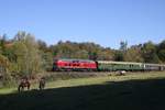 218 155 bei der Einfahrt in Binolen am 07.10.2018