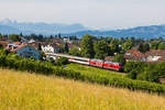 218 423-2 zieht den ersten EuroCity des Tages den Hoyer Berg hinauf ins Allgäu.