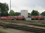 Fünf 218er (218 444-8, 218 428-1, 218 499-2, 218 343-2 und 218 494-3 im Abstellbereich inklusive eines 612er Triebzuges in Lindau am 10.06.2015.