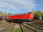 DB Museum 219 084-1 am 13.10.2019 beim Eisenbahnfest zum Ziebelmarkt im Eisenbahnmuseum Weimar.