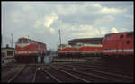 219042 auf der Drehscheibe des BW Oebisfelde am 7.4.1994.