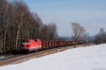 229 173-0 mit den DGS 95416 nach Böhlen unterwegs bei Obergräfenhain mit 9 Eas Wagen, 16.02.2012