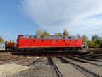 DB Museum 219 084-1 am 13.10.2019 beim Eisenbahnfest zum Ziebelmarkt im Eisenbahnmuseum Weimar.