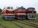 DR-Dieselloktreffen im Bw Weimar am 10.10.2009: 119 199-8, 120 198-7 und 131 072-1.