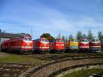 U-Boot und Ludmilla Treffen in Weimar am 13.10.12. Zusehen sind 119 199-8, 229 188-8, 229 100-3, 219 084-1, MEG 302 (229 173) und MEG 301 (229 120).

