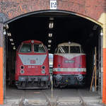 Die Diesellokomotiven 219 003-1 und 118 782-2 sind im Sächsischen Eisenbahnmuseum Chemnitz-Hilbersdorf ausgestellt. (September 2020)
