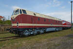 Am 01.08.2021 waren 119 199, welche eigentlich eine 229 ist, und 229 188 auf dem Gelände des Thüringer Eisenbahnvereins ausgestellt.  