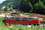 15. Juli 1990: Anlässslich des 90. Geburtstages der Rodachtalbahn fand in Nordhalben ein Fest statt, zu dem sich zahlreiche Gratulanten einfanden. Die V200 002 dürfte dabei der exotischste Gast gewesen sein. In ihrer aktiven Zeit hat sie diesen Frankenwaldwinkel wohl nie besucht. Das Foto ist nicht zu wiederholen, da die Strecke zwischen Kronach und Steinwiesen abgebaut und die Lok beim Brand des Lokschuppens des Verkehrsmuseums Nürnberg am 17.10.2005 verbrannt ist. Wenn ich es betrachte, fällt mir immer ein Pflanzenname ein:  Jungfer im Grünen 