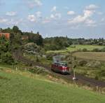 Welch zeitlose Schnheit - die V200:
V200 007 machte sich am 19. August 2010 bei Elze als Tfzf 91345 (Lbeck-Nrnberg) fr die Fotografen zurecht.
