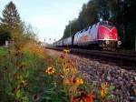 V200-033 verlsst nach einem kurzen Zwischentstopp mit dem  Nostalgie Rhein Express  den Bahnhof Ried i.I.;100922