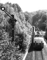 221 143 am Einfahrsignal von Hofermühle, Angertalbahn (10.8.83).