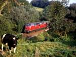 221 109 am 28.08.1984 mit einem Kalkzug bei Heiligenhaus Hofermhle